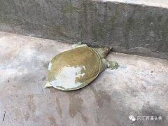 ����Ϫ�Ϊ��ƶ����ע���»���
