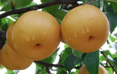 ��Ϫ�ؼҷ���԰�޹�����������