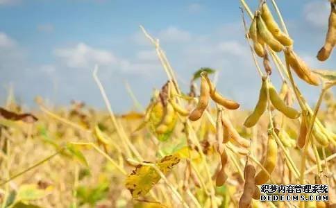 ����һ�ſɵȵ����ײ��������ˣ���λ����󶹰�һ���ˣ��쿴��զ�ðɵ���ͼ