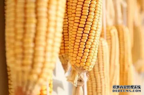 ����һ�ſɵȵ����ײ��������ˣ���λ����󶹰�һ���ˣ��쿴��զ�ðɵ���ͼ