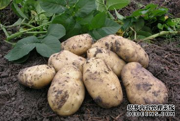 ����һ�������������ס����˼�����ģʽ����ͼ