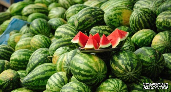 ����һ���紺���ϡ��������ϡ�����һ��������ֲģʽ����ͼ