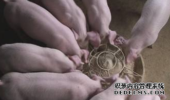 ����һ�������ϵ�����ʹ���������ͼ